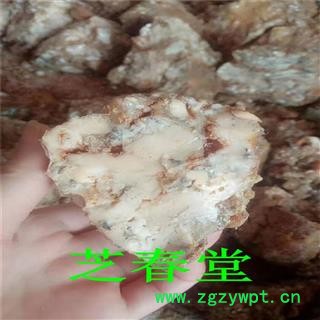 五彩阿魏 阿魏树脂 臭阿魏 细叶阿魏 批发零售图3