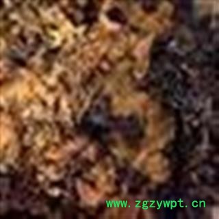 干漆 统 产地 四川省图2