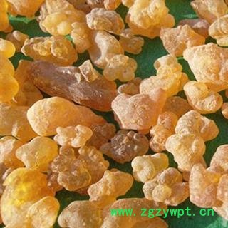 吉康药业乳香 乳香 年供应图2