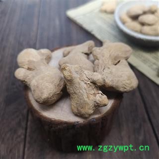 中药材 炮姜 炮姜碳 炮姜炭图2