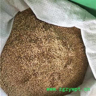 新辉药业正品谷芽 蘖米 谷蘖 稻蘖 稻芽图2