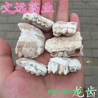 龙齿 精选正品龙齿 产地 宁夏回族自治区图2