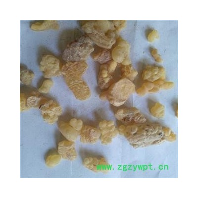 乳香 乳珠 产地 海外