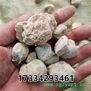 石燕 别称-石燕子 燕子石 大石燕图3