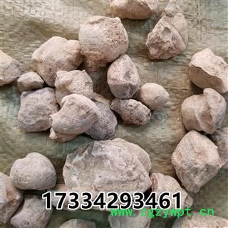 石燕 别称-石燕子 燕子石 大石燕图2