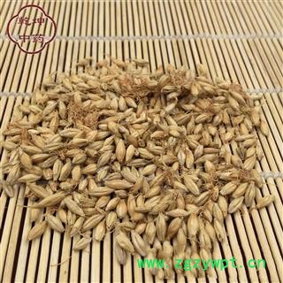 麦芽 四川麦芽  统货 产地 四川省【品种齐全 诚信经营】图2