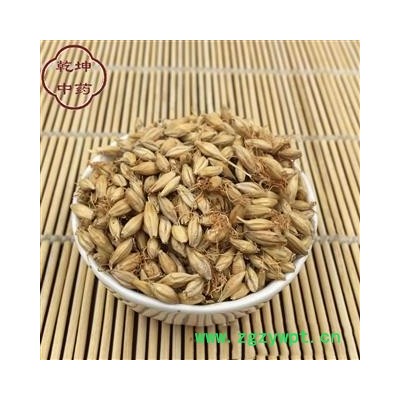 麦芽 四川麦芽  统货 产地 四川省【品种齐全 诚信经营】