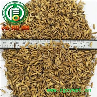 【满包邮】炒谷芽统货散装四川产地直供稻芽沁信源中药批发图2