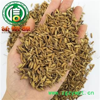 【满包邮】炒谷芽统货散装四川产地直供稻芽沁信源中药批发图3