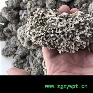 浮水甘石 海浮石   海浮石花 产地 河北省 凯捷中药图3