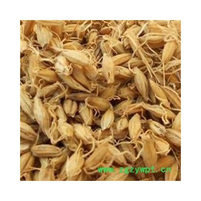 麦芽 选货 生麦芽 芽多 新货 无虫蛀 产地 山东省