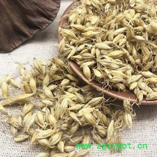 麦芽 正品保证质量7天无理由退货退款 安品堂图3