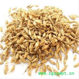 麦芽 正品保证质量7天无理由退货退款 安品堂图4