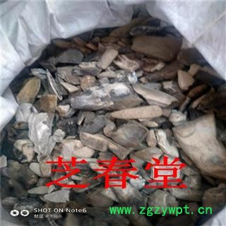 中药材批发龙齿 青龙齿 龙齿个 白龙齿 多规格散装批发量大价图2