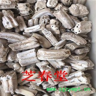 中药材批发龙齿 青龙齿 龙齿个 白龙齿 多规格散装批发量大价图4