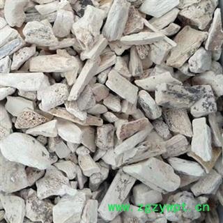 龙骨 正品龙骨包化验 产地 宁夏回族自治区图2