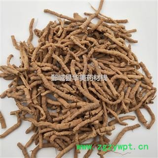 远志 远志筒选货 产地 山西省 华美中药 产地直销 重在品质图3