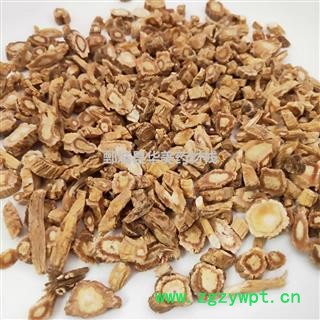 防风@【华美中药】中药材批发供应【防风】防风图2