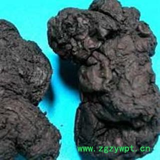 熟地 熟地片 统货 产地 河南省图2