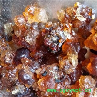 桃胶 食用桃胶 产地 山东省图2