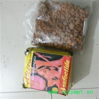 阿魏 选 产地 新疆维吾尔自治区图2