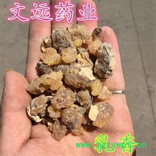 乳香 文远药业 乳香 产地 云南省曲靖市市辖区图3