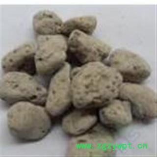 小丽百草行  小海浮石 海浮石图2