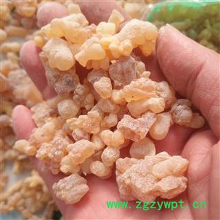 新辉药业优质乳香珠 生乳香 马尾香 乳头香 天泽香图3