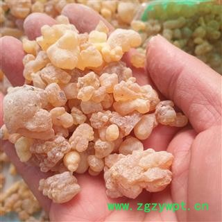 新辉药业优质乳香珠 生乳香 马尾香 乳头香 天泽香图2