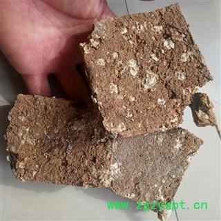 中药材芜荑 臭无夷 臭芜荑 黄榆 毛榆 山榆图3