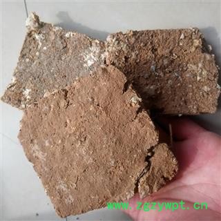 中药材芜荑 臭无夷 臭芜荑 黄榆 毛榆 山榆图2