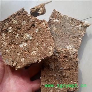 中药材芜荑 臭无夷 臭芜荑 黄榆 毛榆 山榆图4