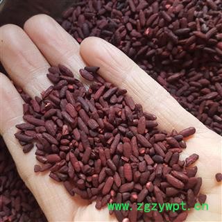 吉康药业红曲米 红米 赤曲 福曲实物拍照发酵到位颜色纯正图3