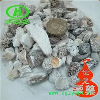 世元药业 龙骨水洗中块 正品保障 无添加其他骨骼 批发各类矿石 冷背 化工图2
