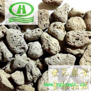 世元药业 小海浮石 正品 白浮石 海浮石 水泡石图2