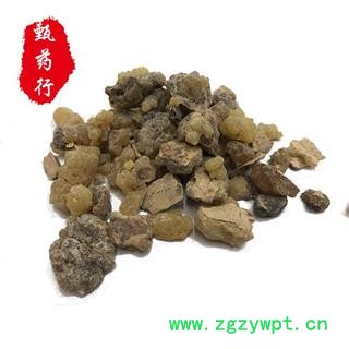 乳香 统货 产地 海外 1公斤装图4