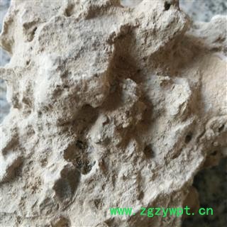 姜石  料姜石 裂姜石 蛎石 礓砺 统 产地 甘肃省图2