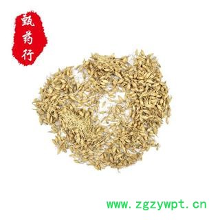 麦芽 生麦芽统货 产地 四川省 1公斤装图2