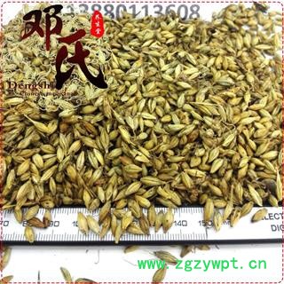 麦芽炒货选货1公斤起批散装批发产地直供邓氏中药材批发图2