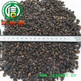 【满包邮】淡豆豉散装山东产地直供黑豆豉沁信源中药批发图2