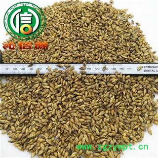 【满包邮】大麦茶茶用选货散装产地直供炒大麦沁信源中药批发图2