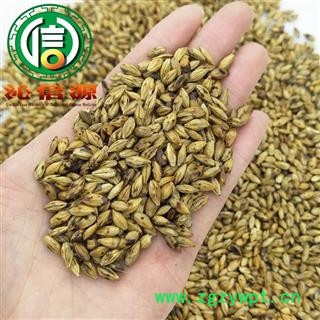 【满包邮】大麦茶茶用选货散装产地直供炒大麦沁信源中药批发图3