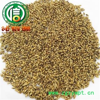 【满包邮】大麦茶茶用选货散装产地直供炒大麦沁信源中药批发图4