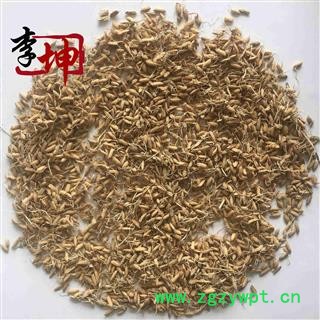 【99包邮】稻芽 统货 四川产 习用谷芽【良心经营 品种齐全】图2