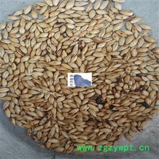 麦芽 炒麦芽 统货 纯干 无虫蛀 国峰药业 重在品质 产地 山东省图2