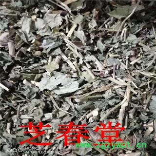 白花丹 冷背中药材 白花丹 白雪花 白皂药 百花丹 一见消药用正品图3