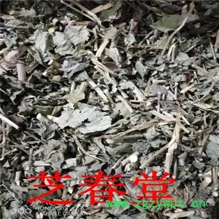 白花丹 冷背中药材 白花丹 白雪花 白皂药 百花丹 一见消药用正品图2