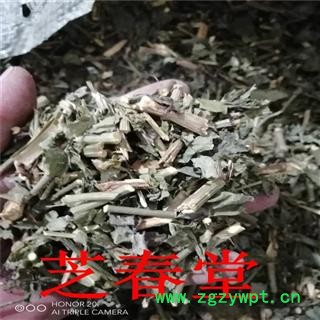 白花丹 冷背中药材 白花丹 白雪花 白皂药 百花丹 一见消药用正品图4