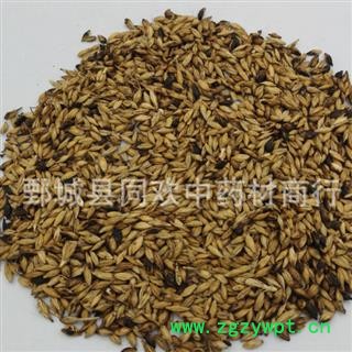 【炒麦芽】@【同欢药材】中药材批发供应  规格齐全 量大从优  产地 山东省图2