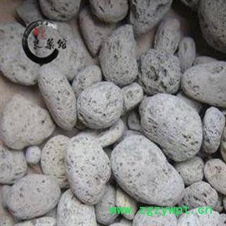 小海乳石 乳海石福建产 药典标准 地道良药馆1000克直销图4